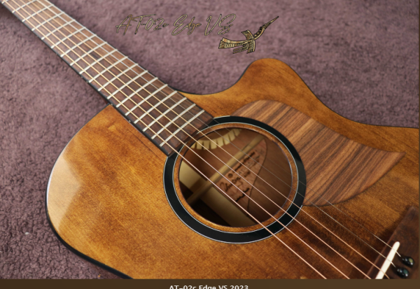 Guitar Thuận AT-02c Edge VS 2023 - Ảnh 11