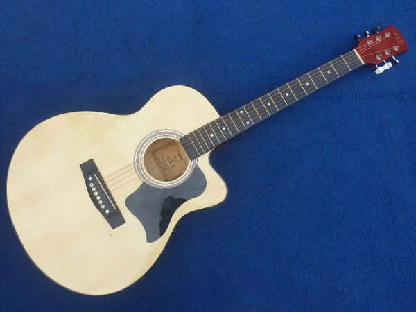 Đàn Guitar AXE AG-48 - Ảnh 2